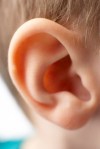 ear